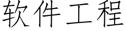 软件工程 (仿宋矢量字库)