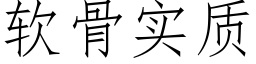 软骨实质 (仿宋矢量字库)