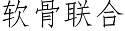 软骨联合 (仿宋矢量字库)