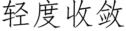 輕度收斂 (仿宋矢量字庫)