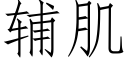 辅肌 (仿宋矢量字库)