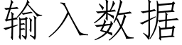 輸入數據 (仿宋矢量字庫)