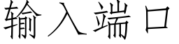 输入端口 (仿宋矢量字库)