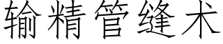 输精管缝术 (仿宋矢量字库)