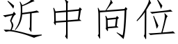 近中向位 (仿宋矢量字库)