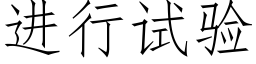 进行试验 (仿宋矢量字库)