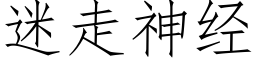 迷走神经 (仿宋矢量字库)