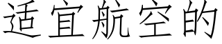 适宜航空的 (仿宋矢量字库)