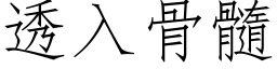 透入骨髓 (仿宋矢量字库)