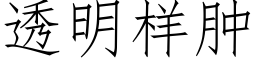 透明样肿 (仿宋矢量字库)