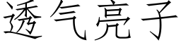 透氣亮子 (仿宋矢量字庫)