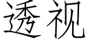 透視 (仿宋矢量字庫)