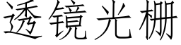 透镜光栅 (仿宋矢量字库)