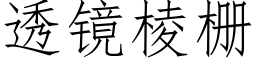 透镜棱栅 (仿宋矢量字库)