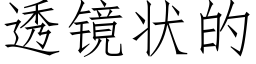 透鏡狀的 (仿宋矢量字庫)