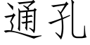 通孔 (仿宋矢量字庫)