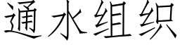 通水組織 (仿宋矢量字庫)