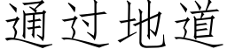 通過地道 (仿宋矢量字庫)