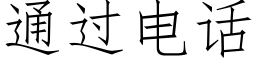 通過電話 (仿宋矢量字庫)