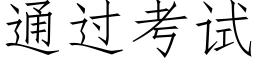 通过考试 (仿宋矢量字库)