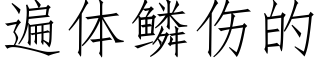 遍体鳞伤的 (仿宋矢量字库)