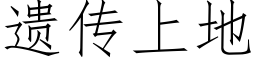 遗传上地 (仿宋矢量字库)