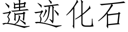 遗迹化石 (仿宋矢量字库)