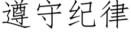 遵守纪律 (仿宋矢量字库)