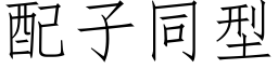 配子同型 (仿宋矢量字庫)