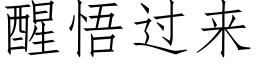 醒悟過來 (仿宋矢量字庫)