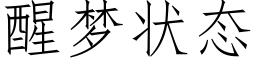 醒梦状态 (仿宋矢量字库)