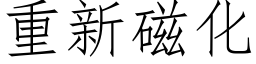 重新磁化 (仿宋矢量字庫)