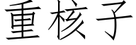 重核子 (仿宋矢量字库)