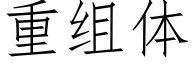 重组体 (仿宋矢量字库)