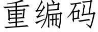 重编码 (仿宋矢量字库)