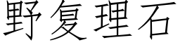 野複理石 (仿宋矢量字庫)