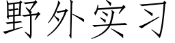 野外实习 (仿宋矢量字库)