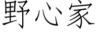 野心家 (仿宋矢量字库)