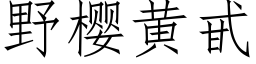 野樱黄甙 (仿宋矢量字库)