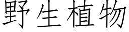 野生植物 (仿宋矢量字庫)