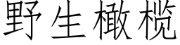 野生橄榄 (仿宋矢量字库)