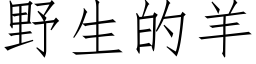 野生的羊 (仿宋矢量字库)