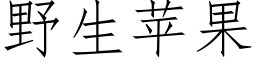 野生苹果 (仿宋矢量字库)