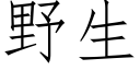 野生 (仿宋矢量字庫)