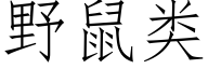 野鼠类 (仿宋矢量字库)