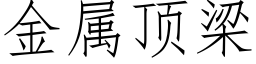 金属顶梁 (仿宋矢量字库)