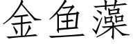 金鱼藻 (仿宋矢量字库)