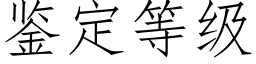 鉴定等级 (仿宋矢量字库)