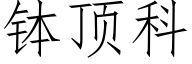 钵顶科 (仿宋矢量字库)