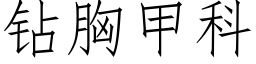 钻胸甲科 (仿宋矢量字库)